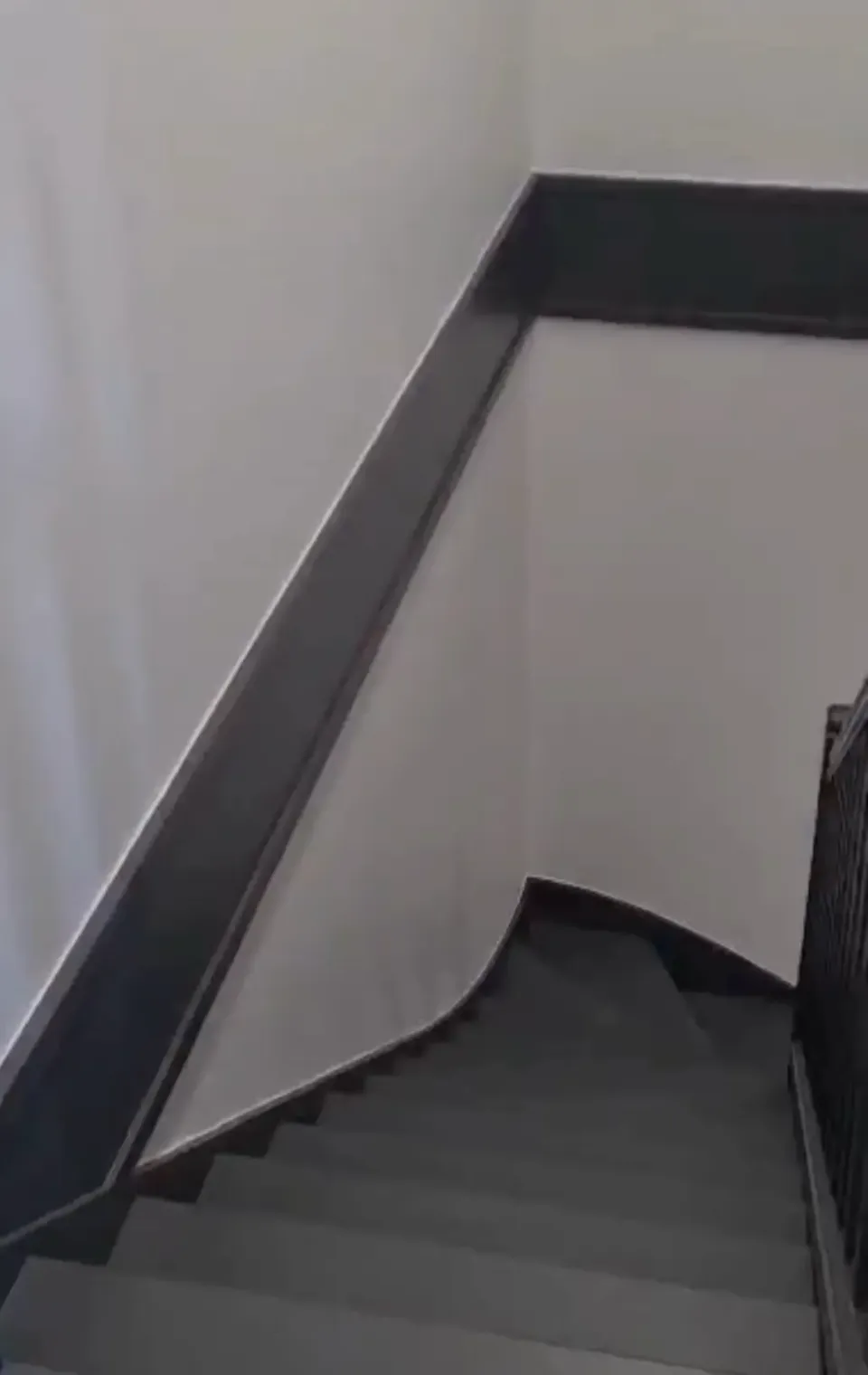 Cage d'escalier repeinte en blanc, rampe et contremarches noires